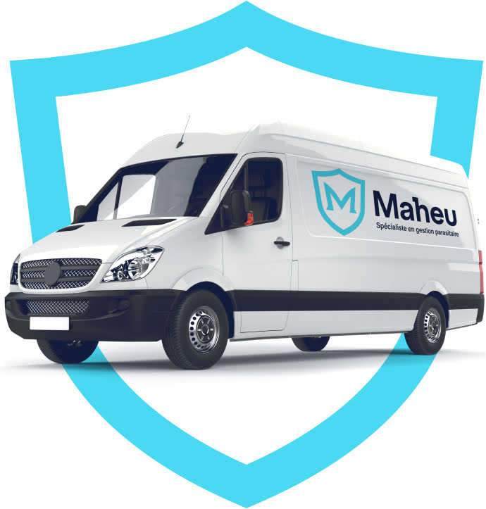 Nos services en gestion parasitaire - Les entreprises Maheu